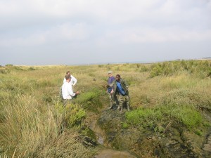 Sample Collecting at the Colne Estuary